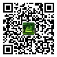 手机网站